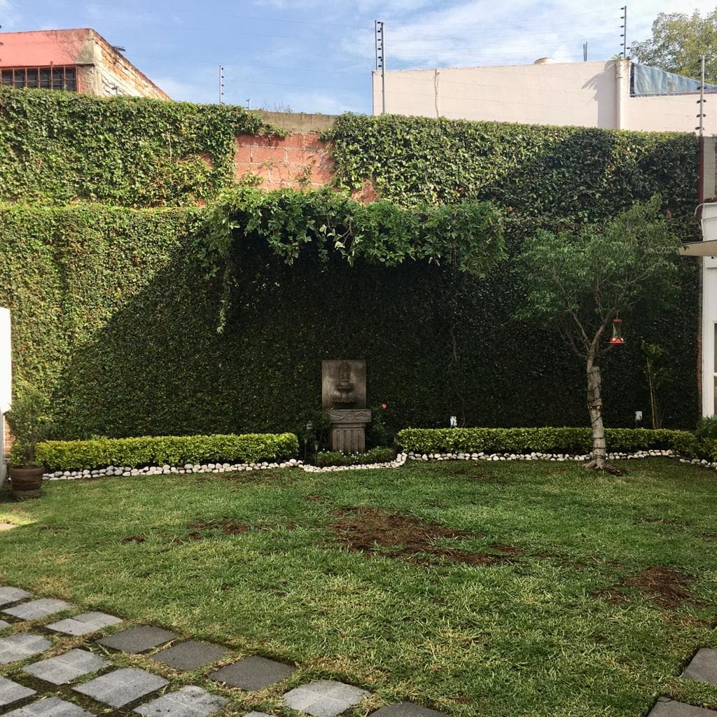image-25