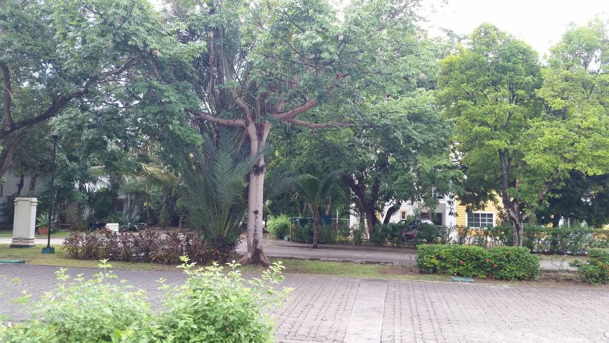 image-38