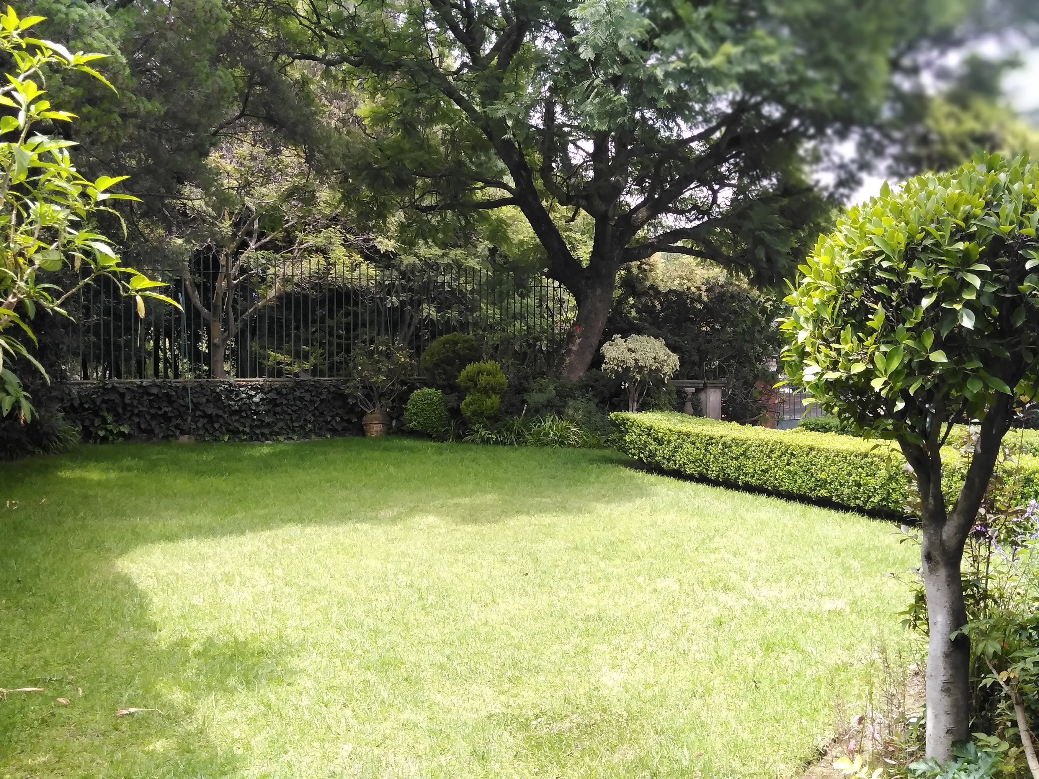 image-15