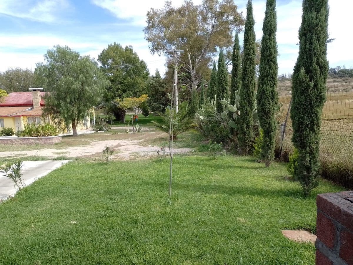 image-20