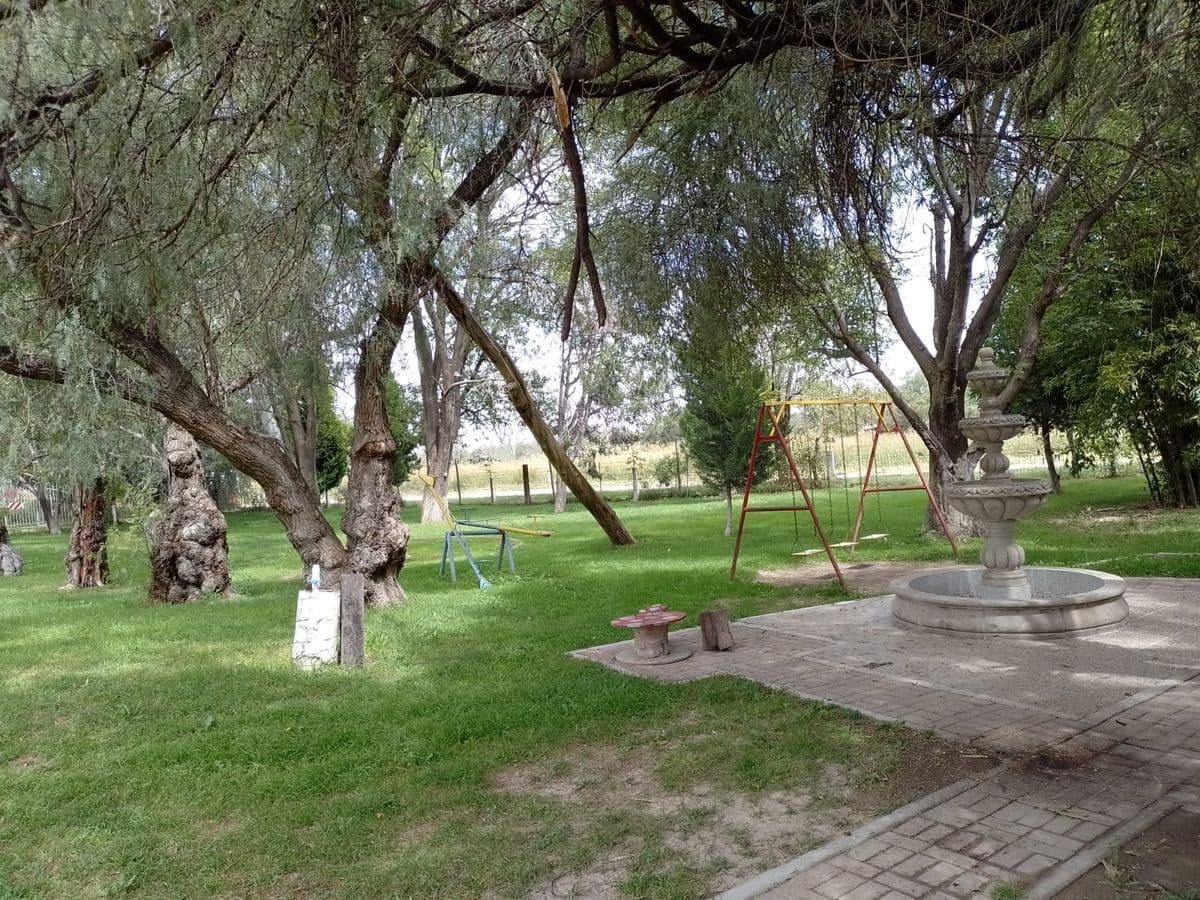 image-24