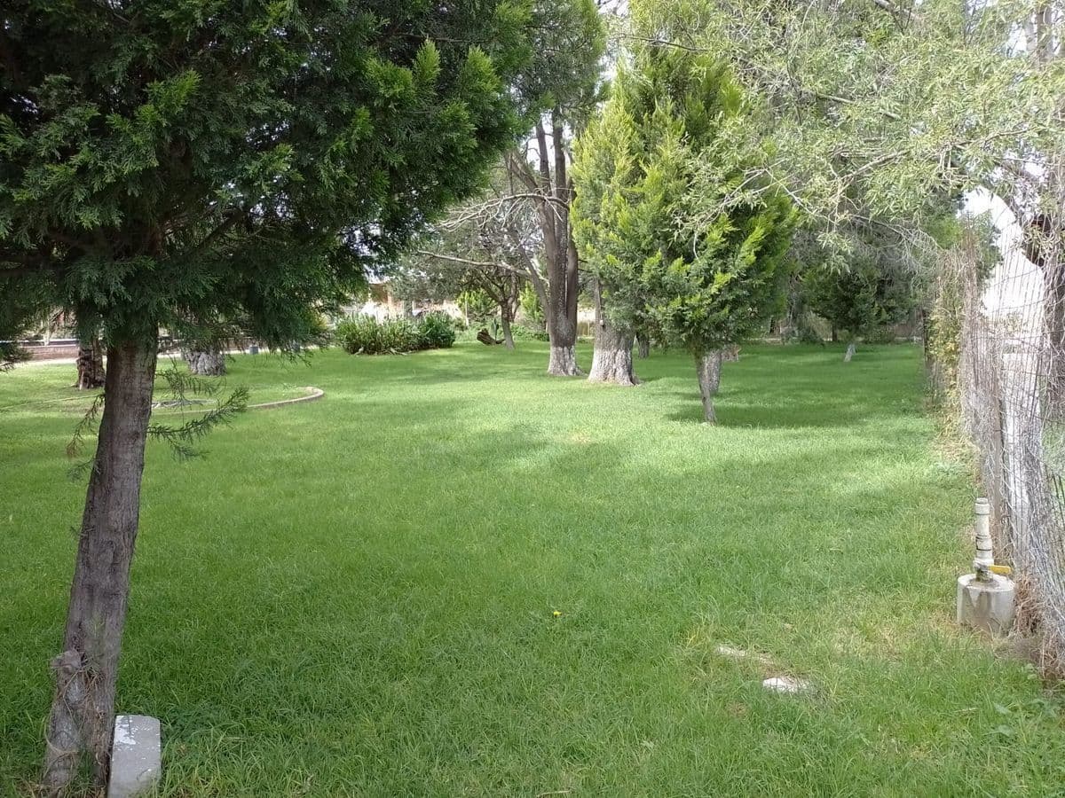 image-19