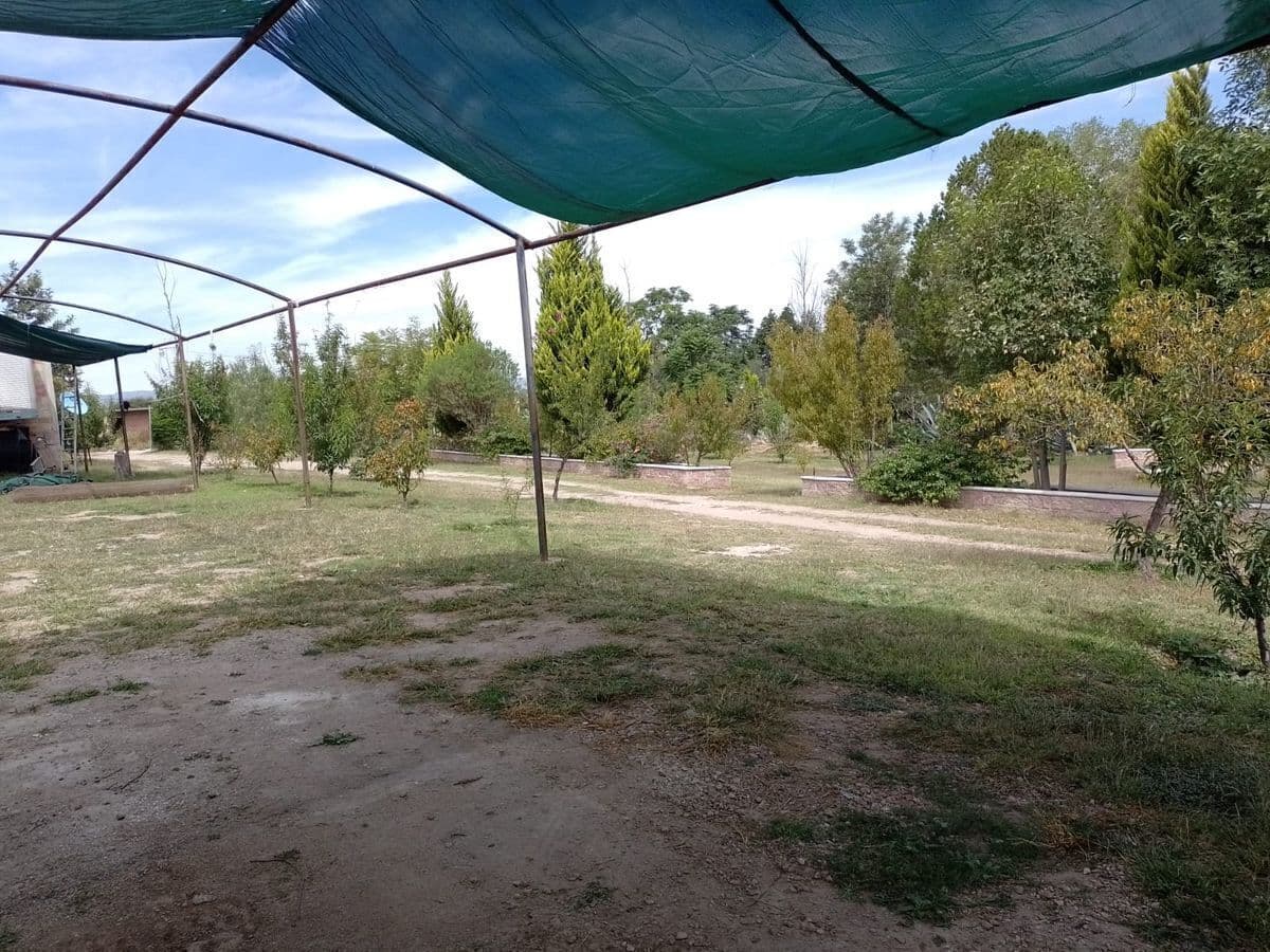 image-19