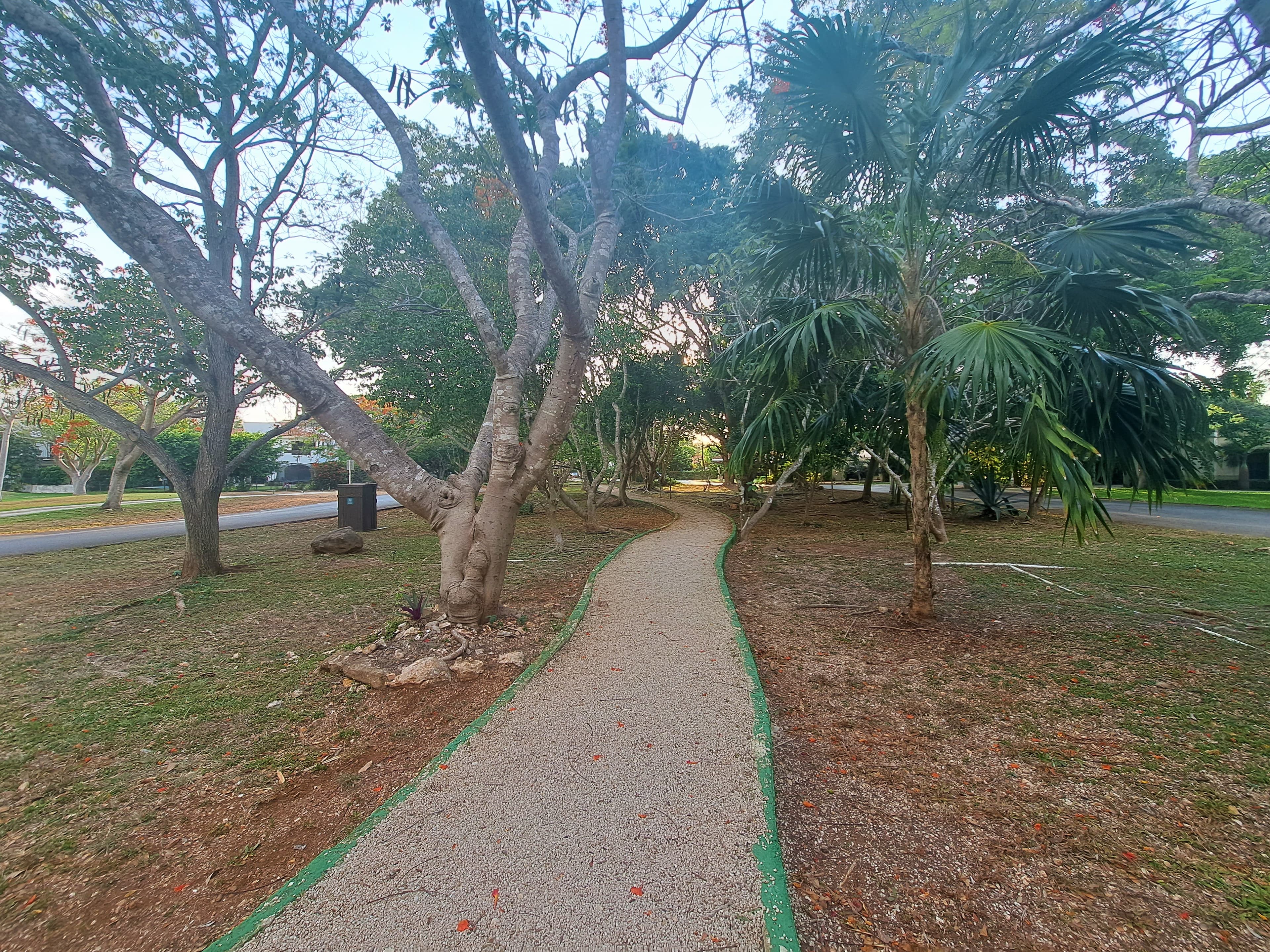 image-1