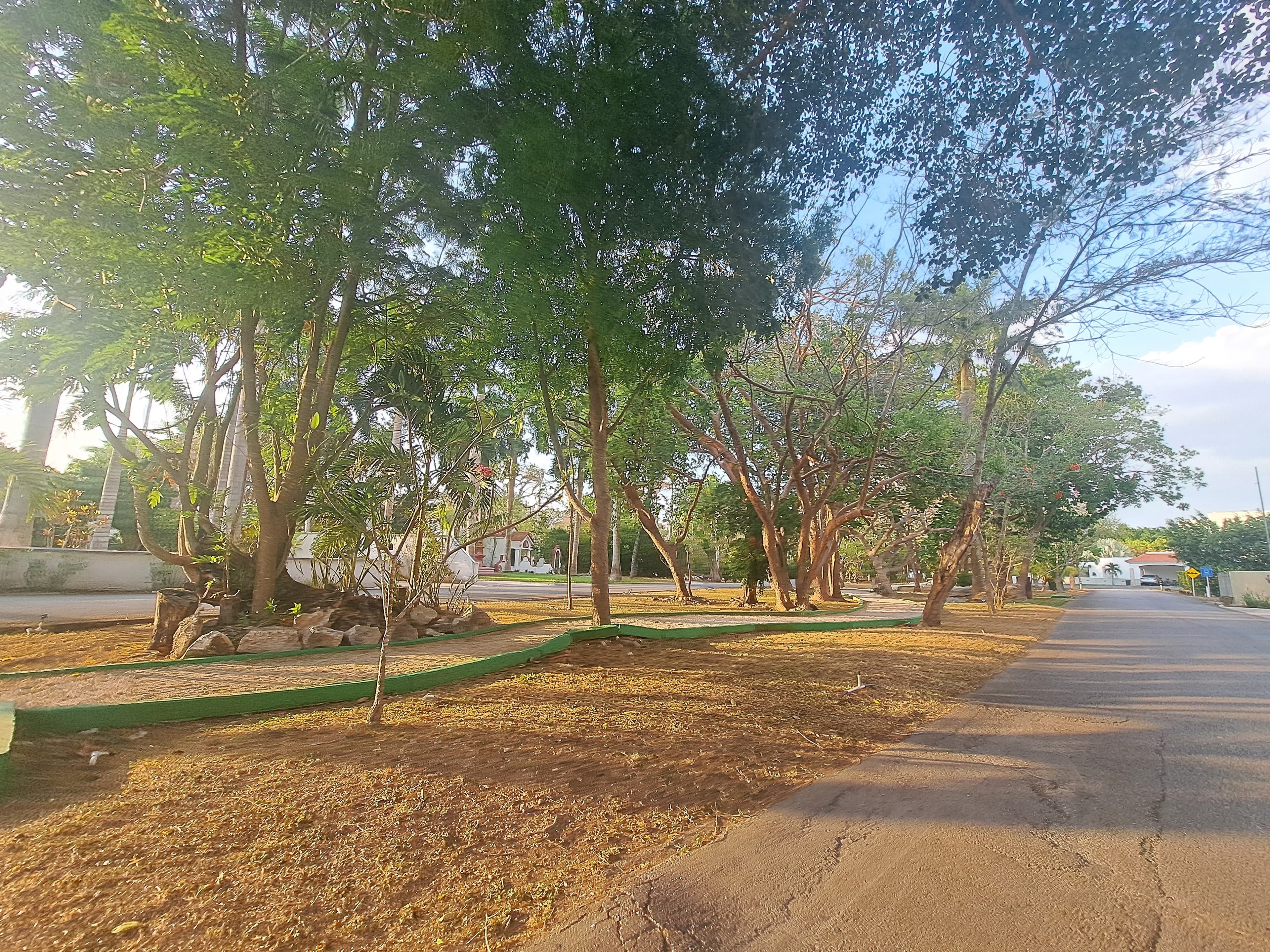 image-2
