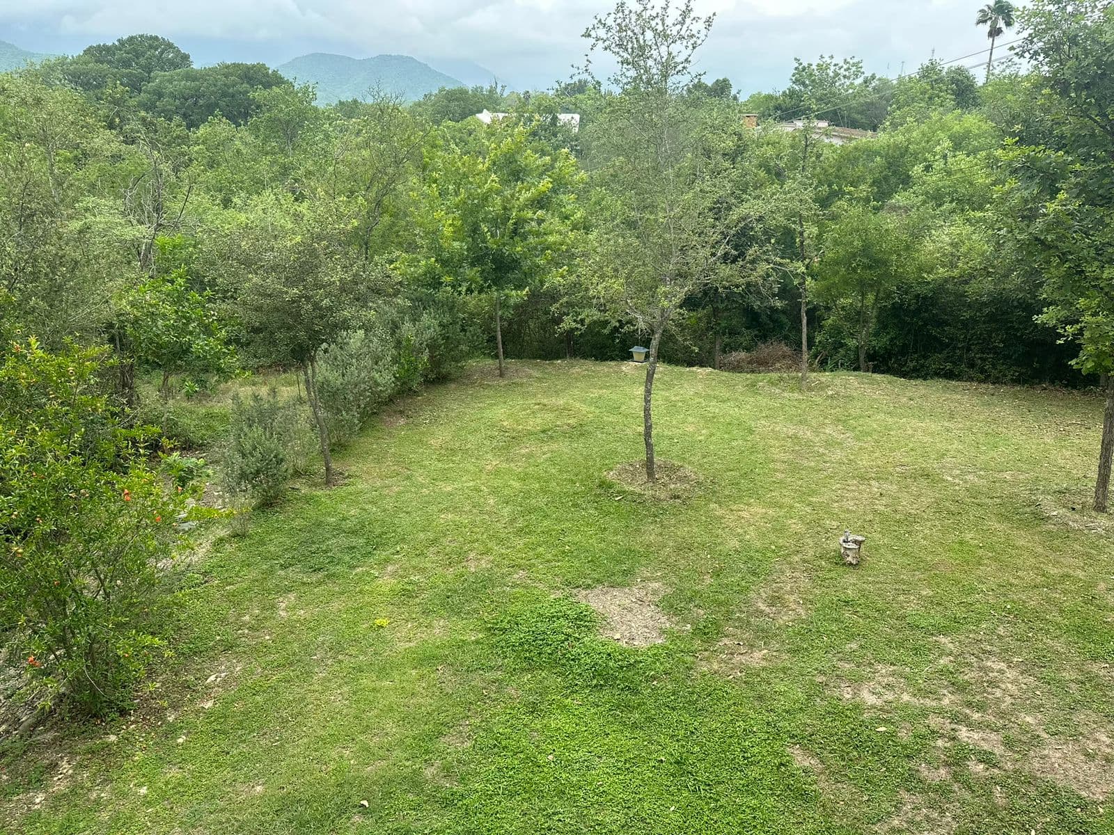 image-17