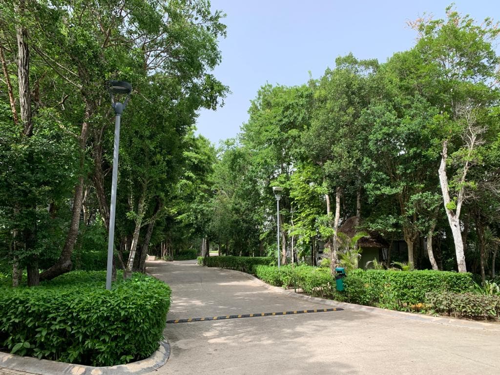 image-18