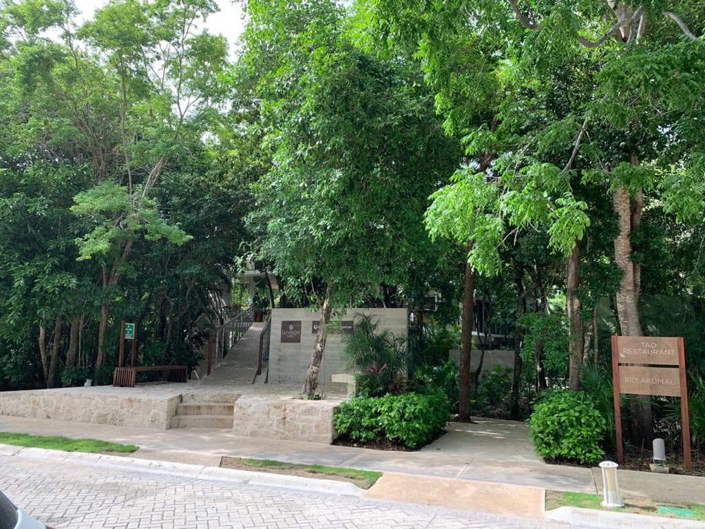 image-17