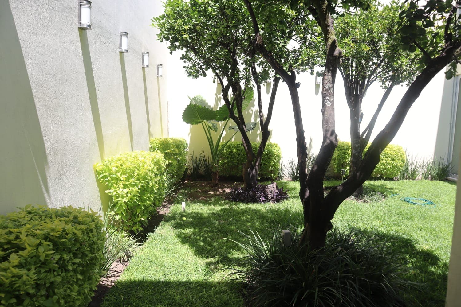 image-42