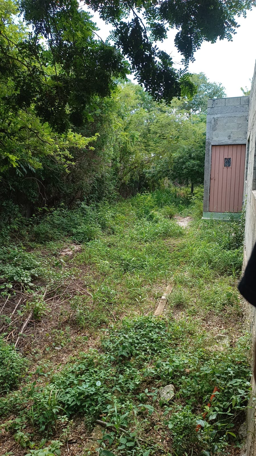 image-8