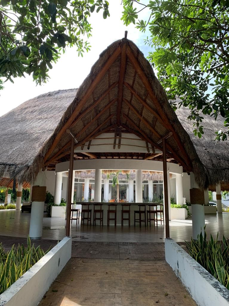 image-25