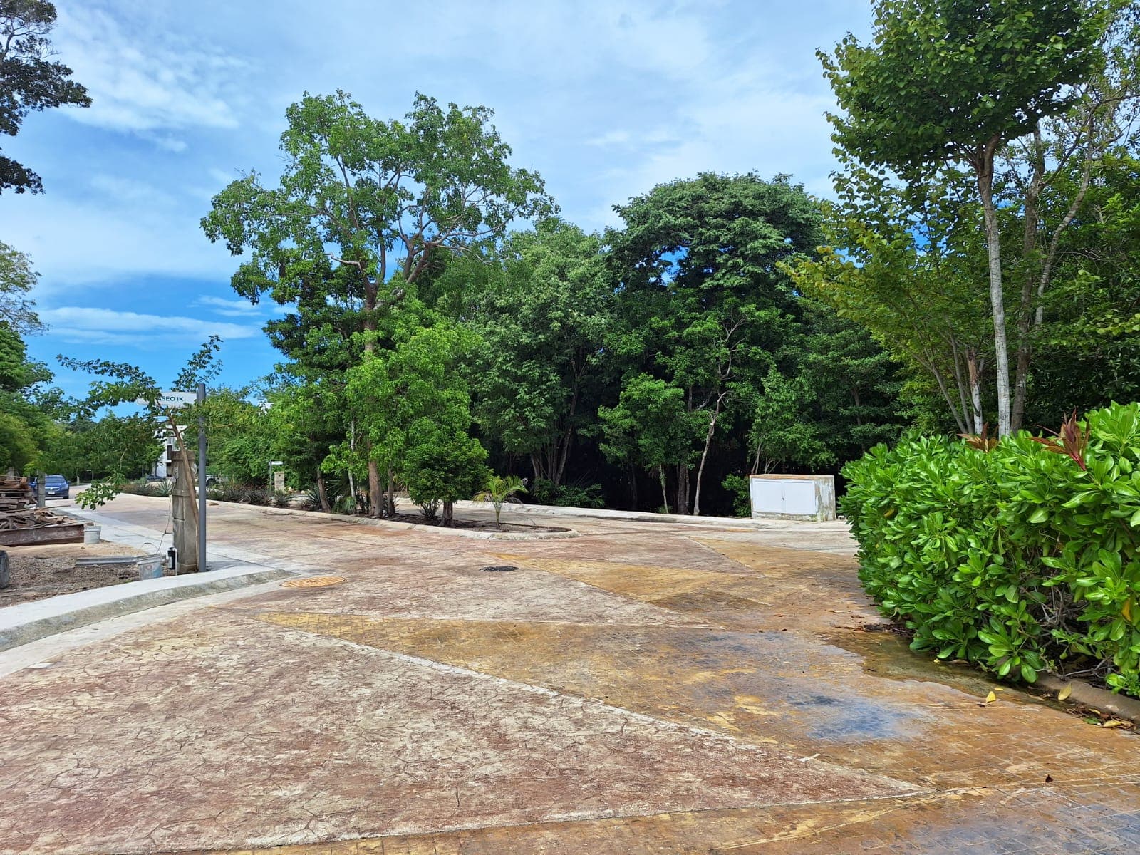 image-19