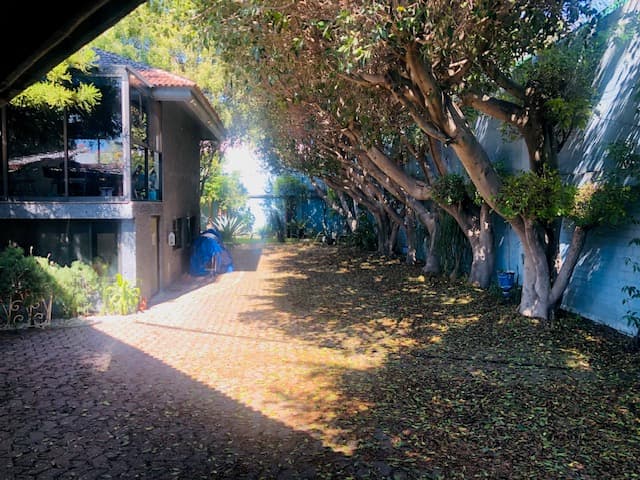 image-45