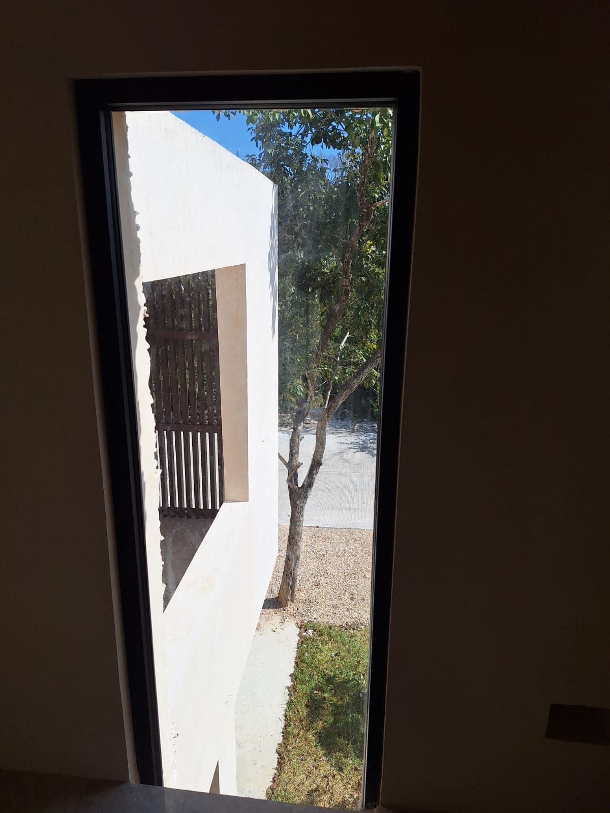 image-19