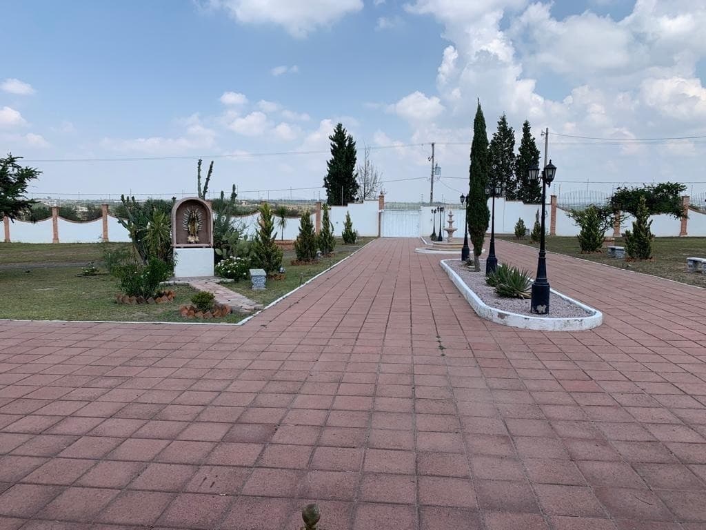 image-31