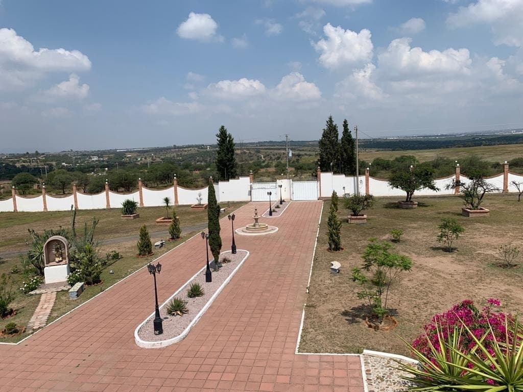image-24
