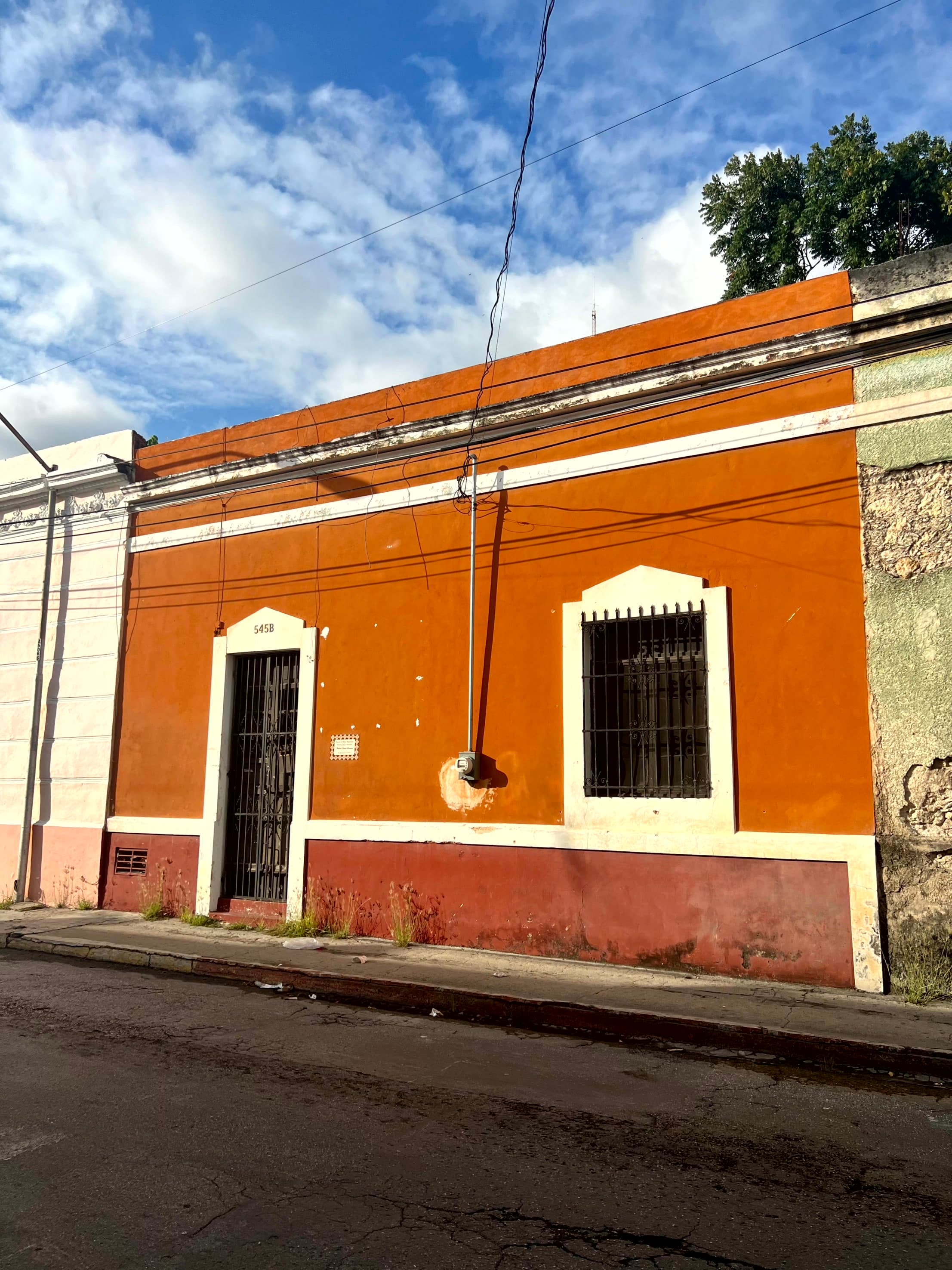 image-22