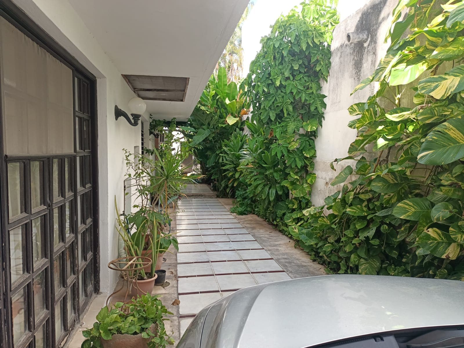 image-4