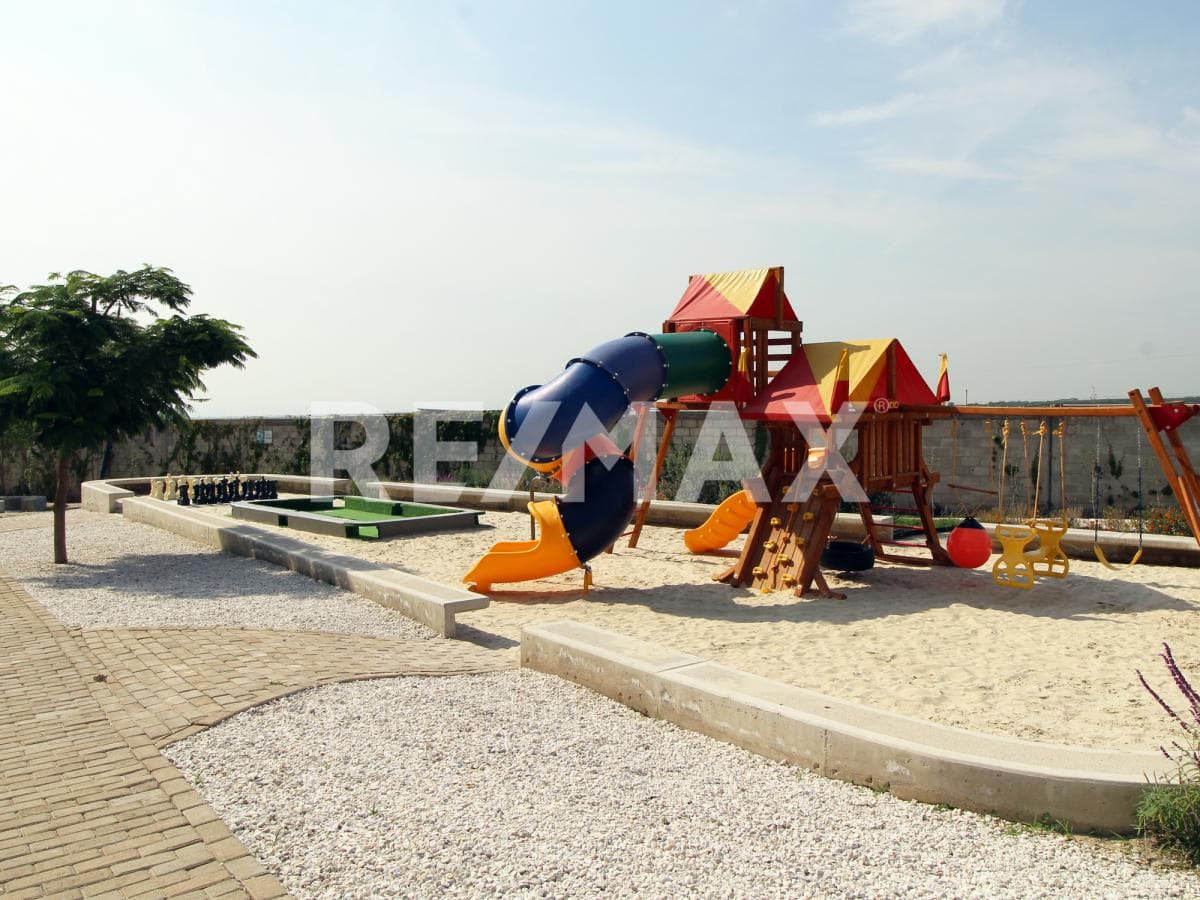 image-19