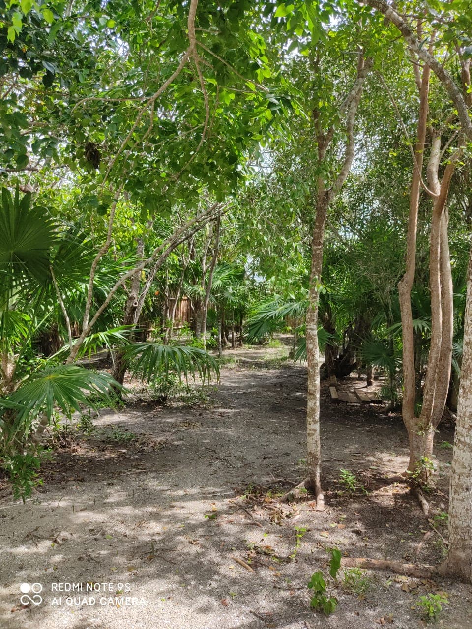 image-14