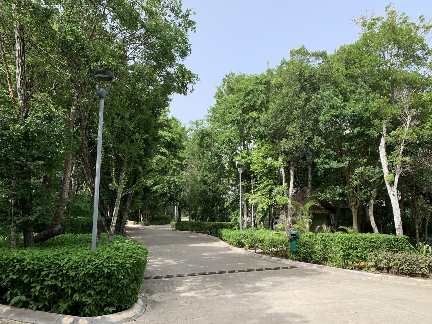 image-17