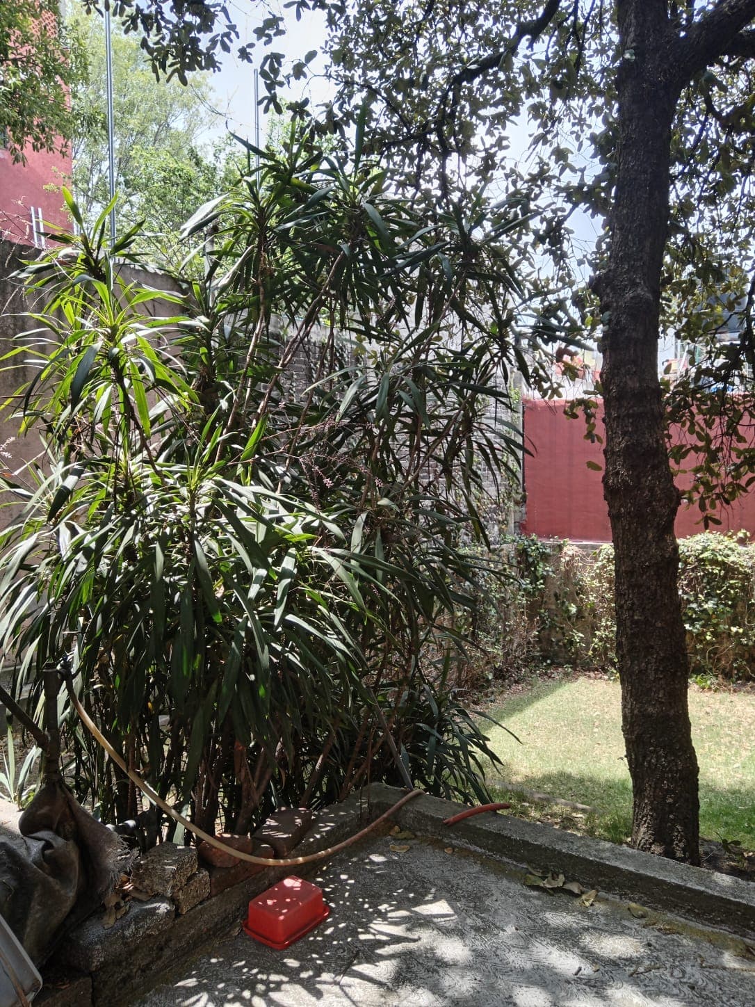 image-34