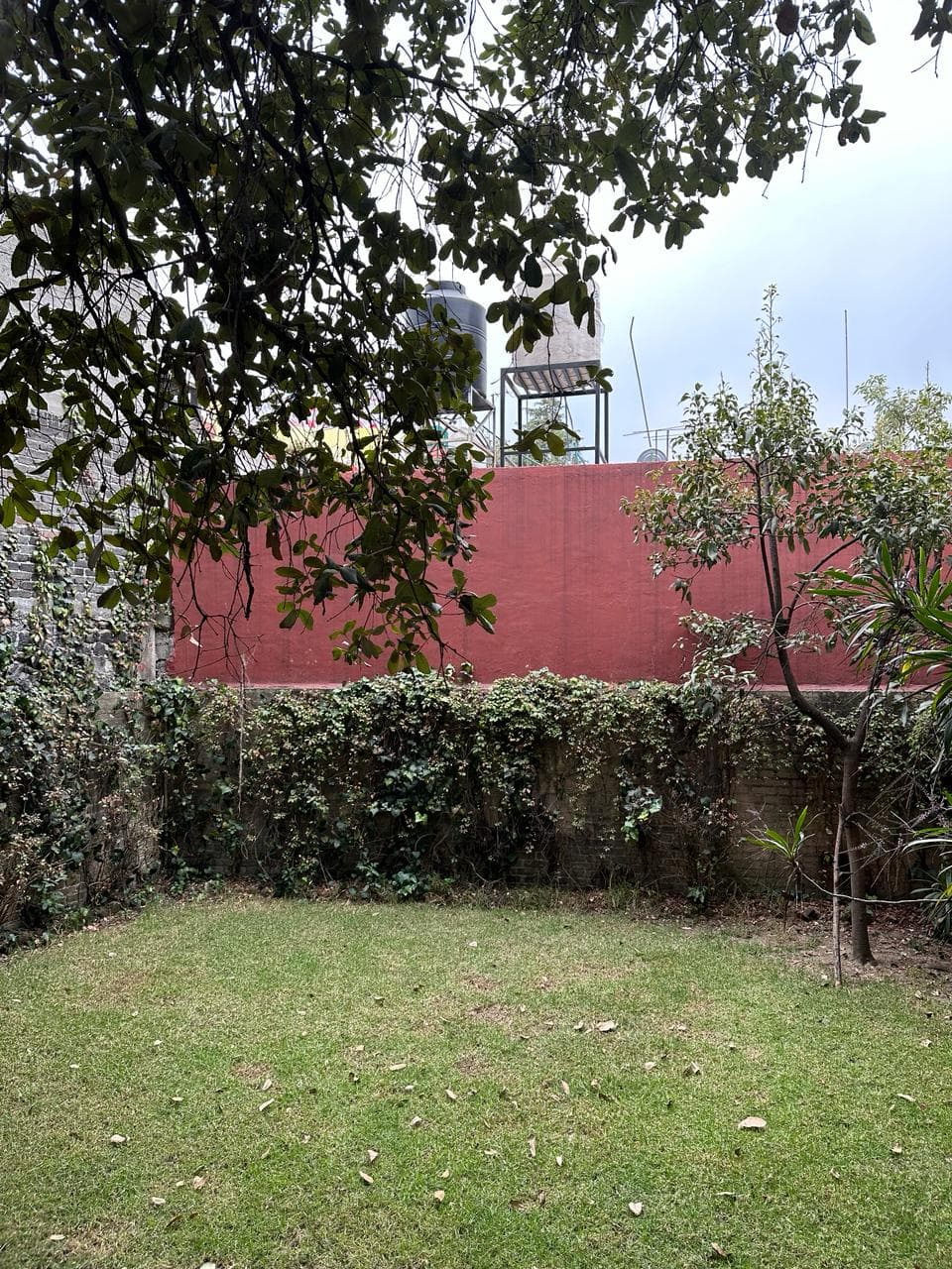 image-0