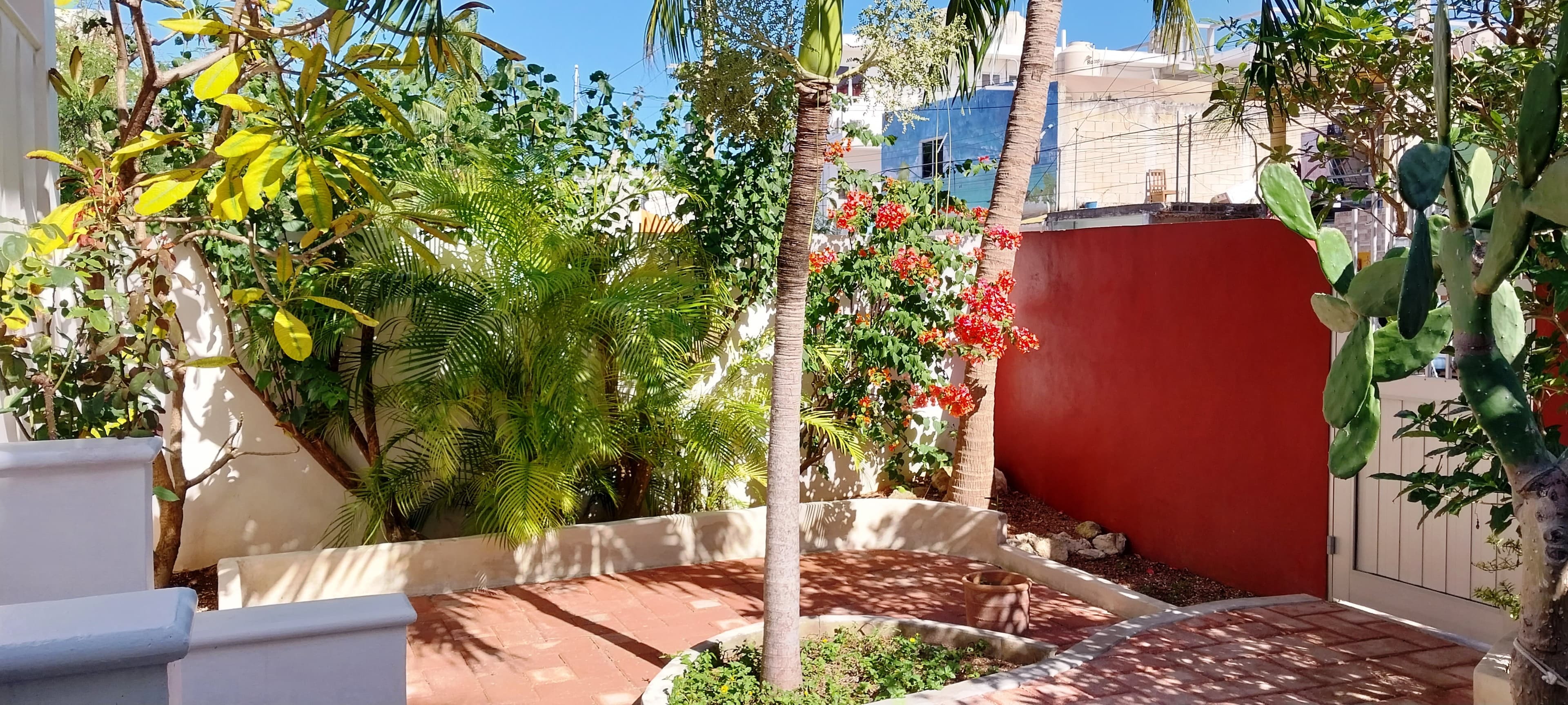 image-9