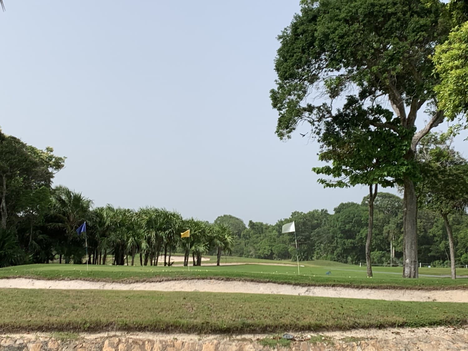 image-25