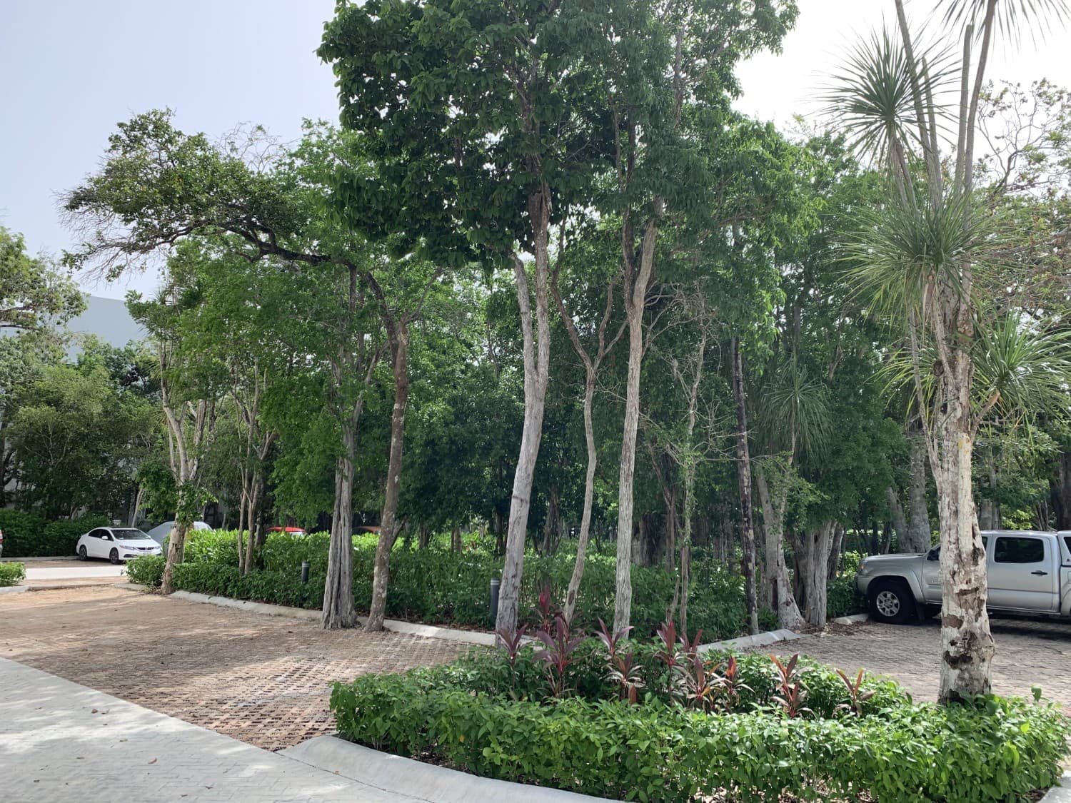 image-11