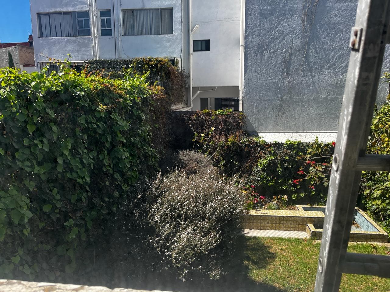 image-35