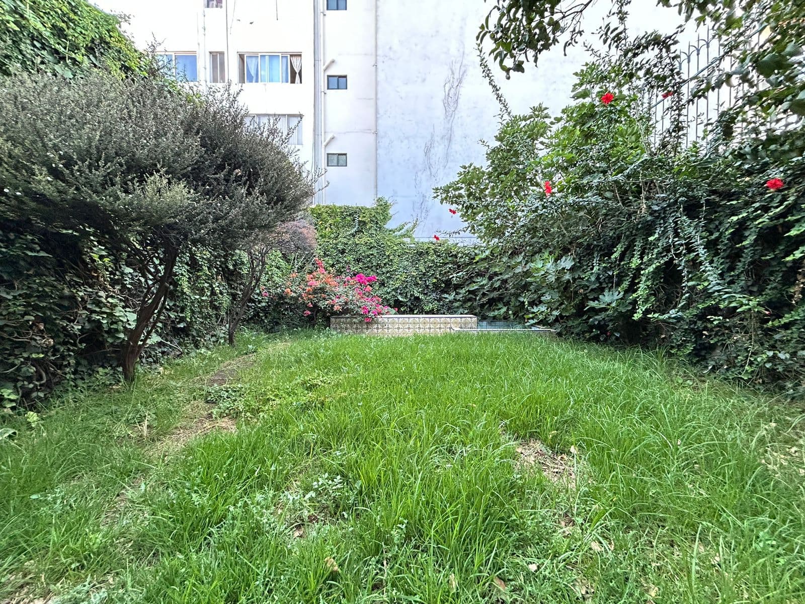 image-25