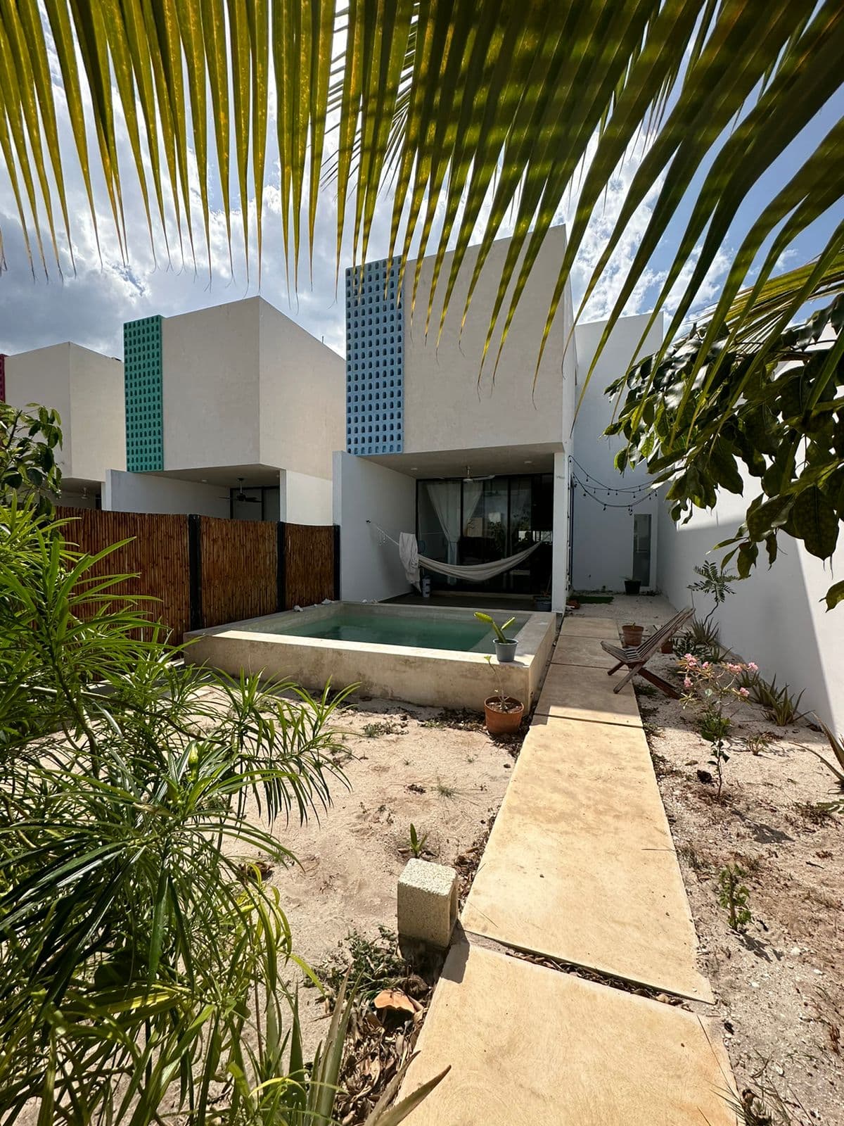 image-19