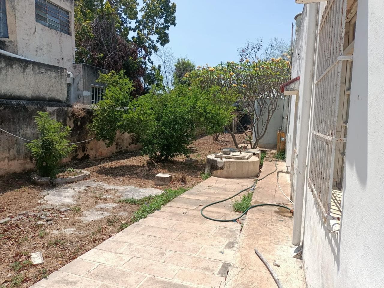 image-20