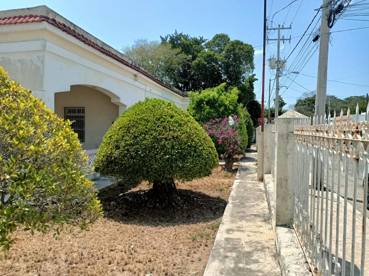 image-14