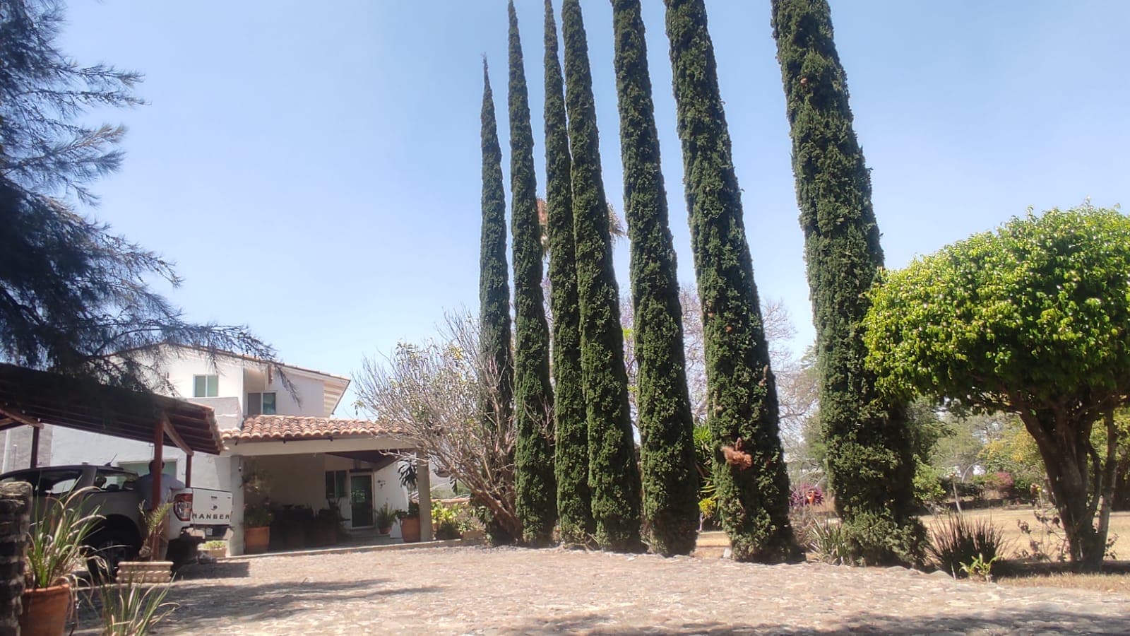 image-19