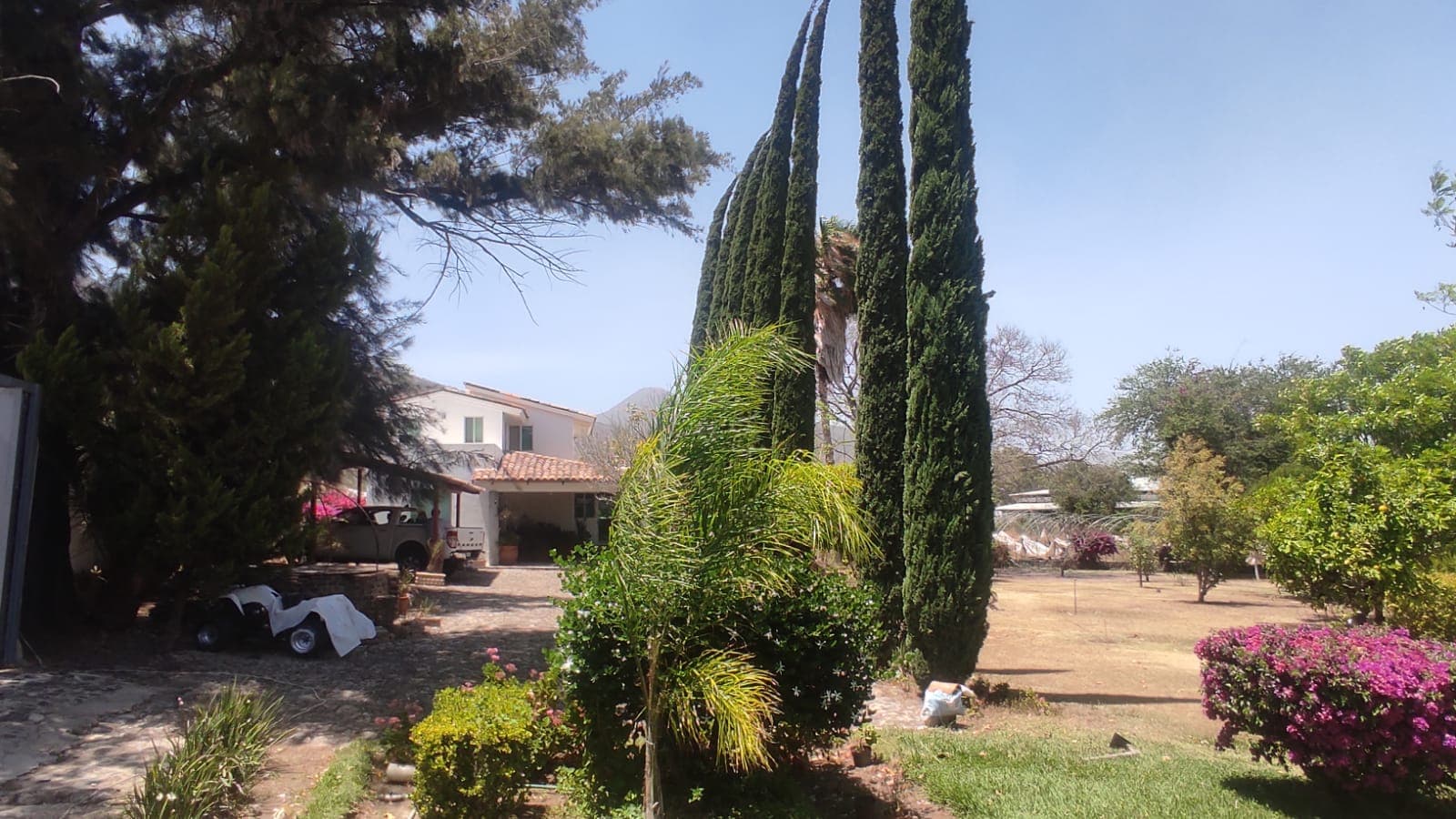image-20