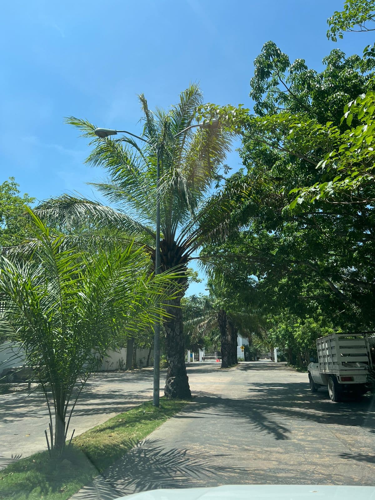 image-20