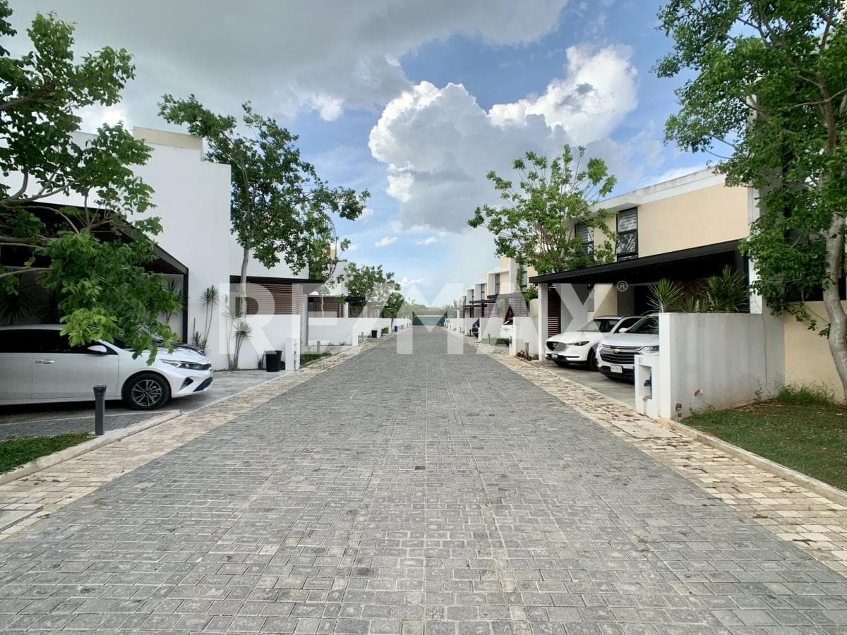 image-26