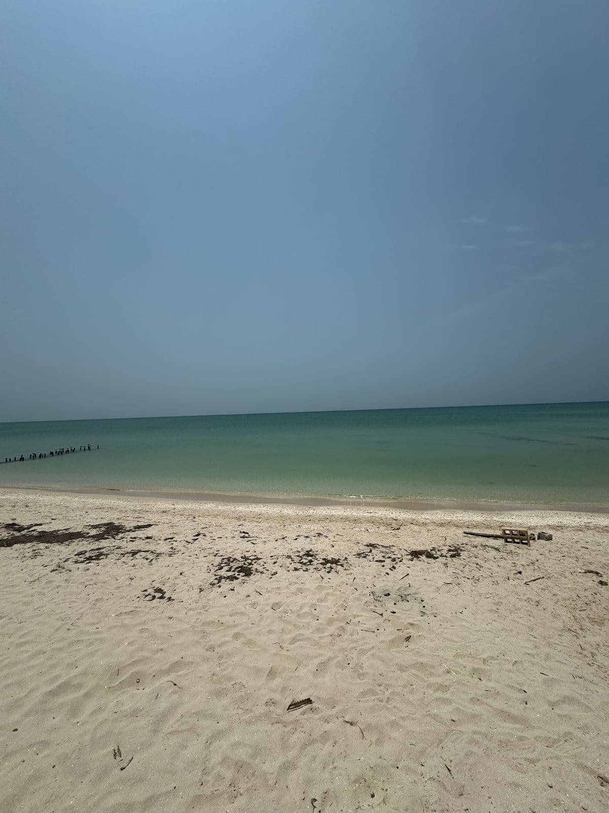 image-0
