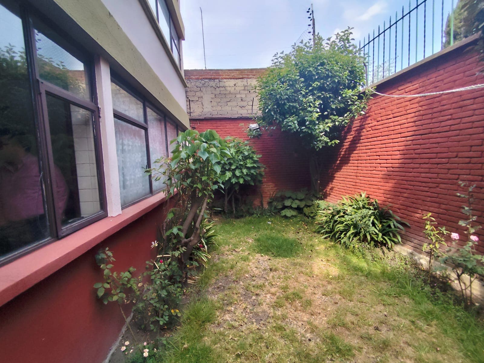 image-2