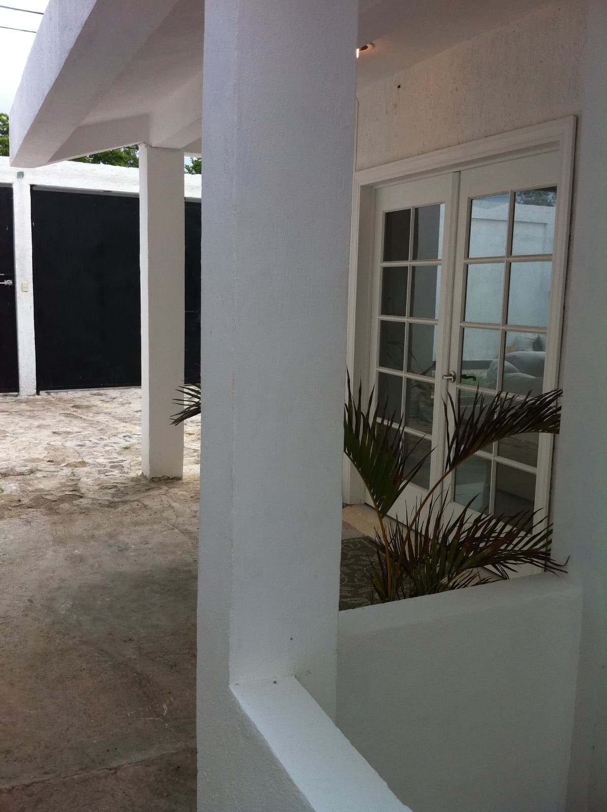 image-7