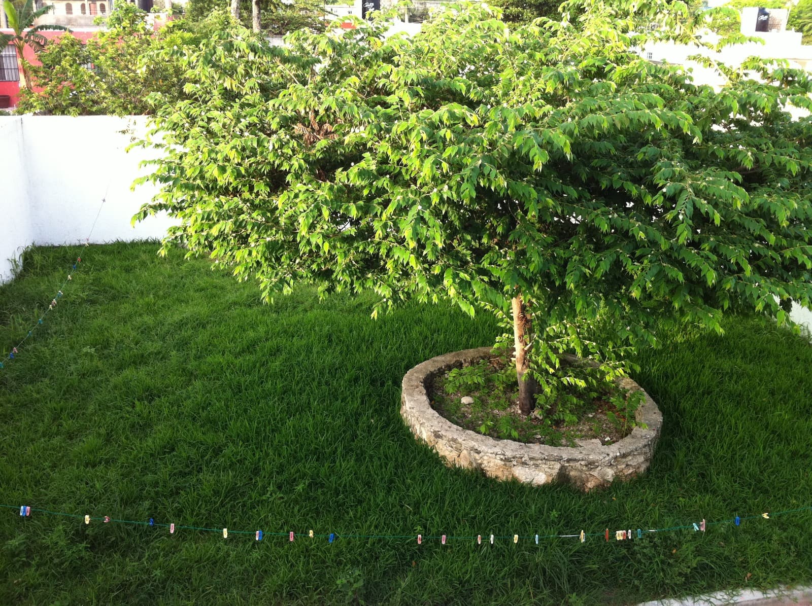 image-6