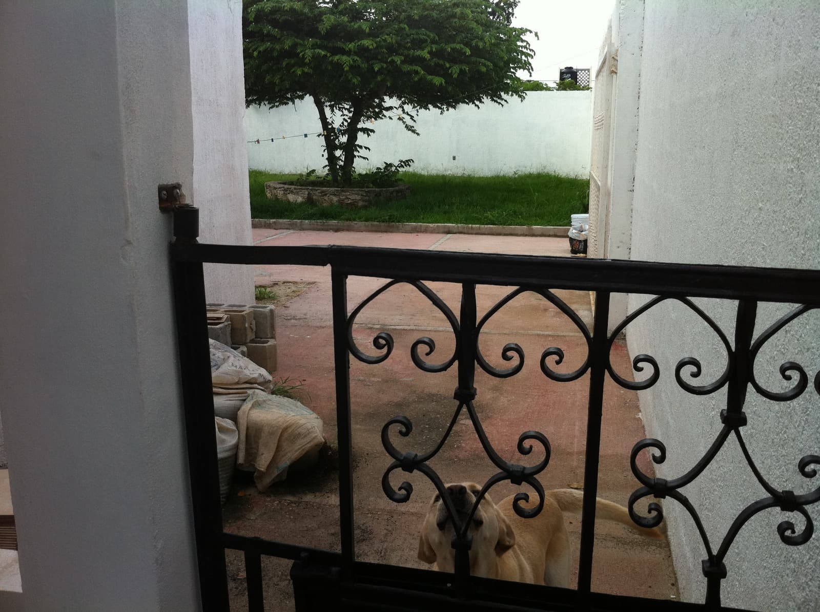 image-9