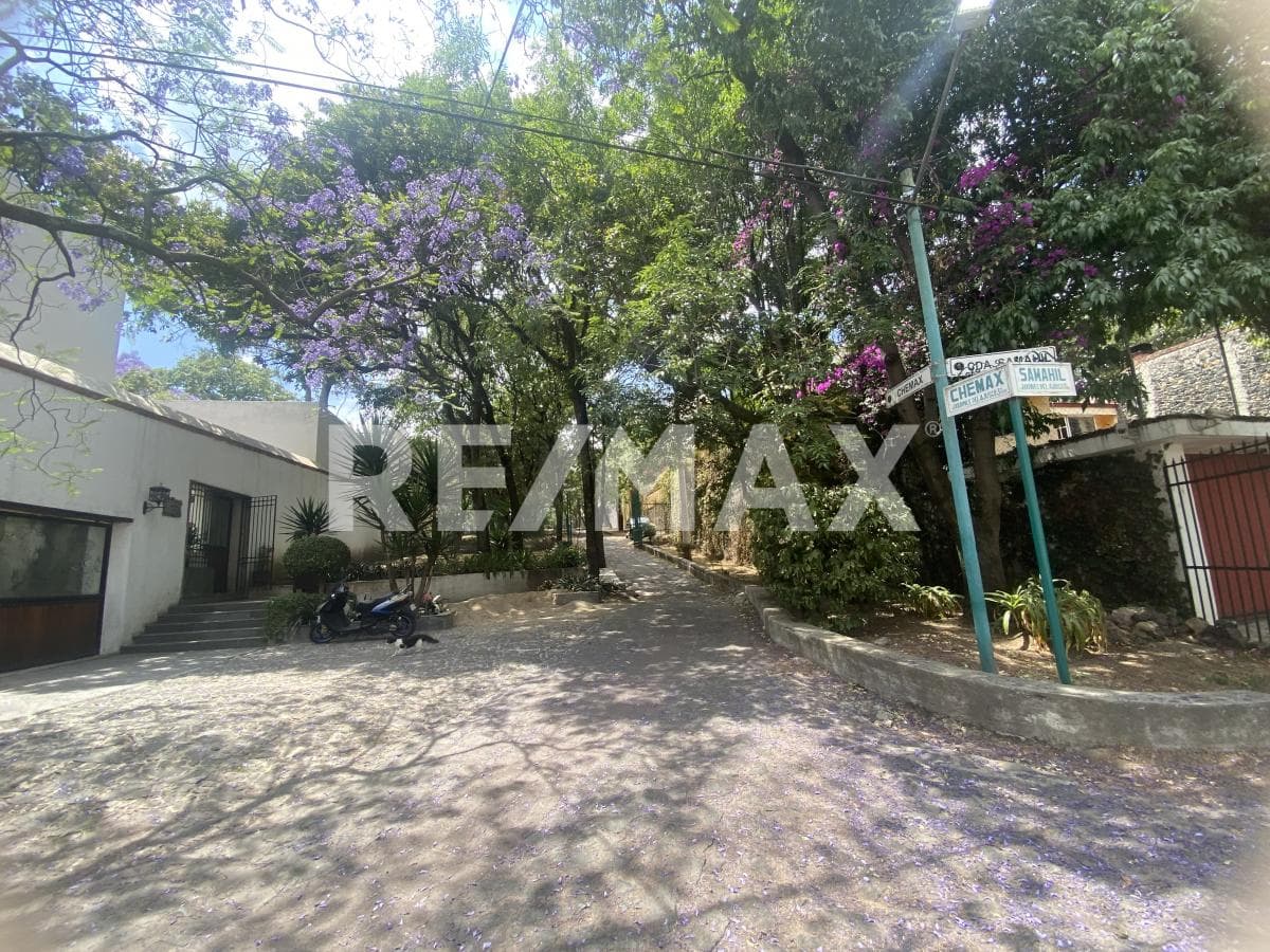image-3