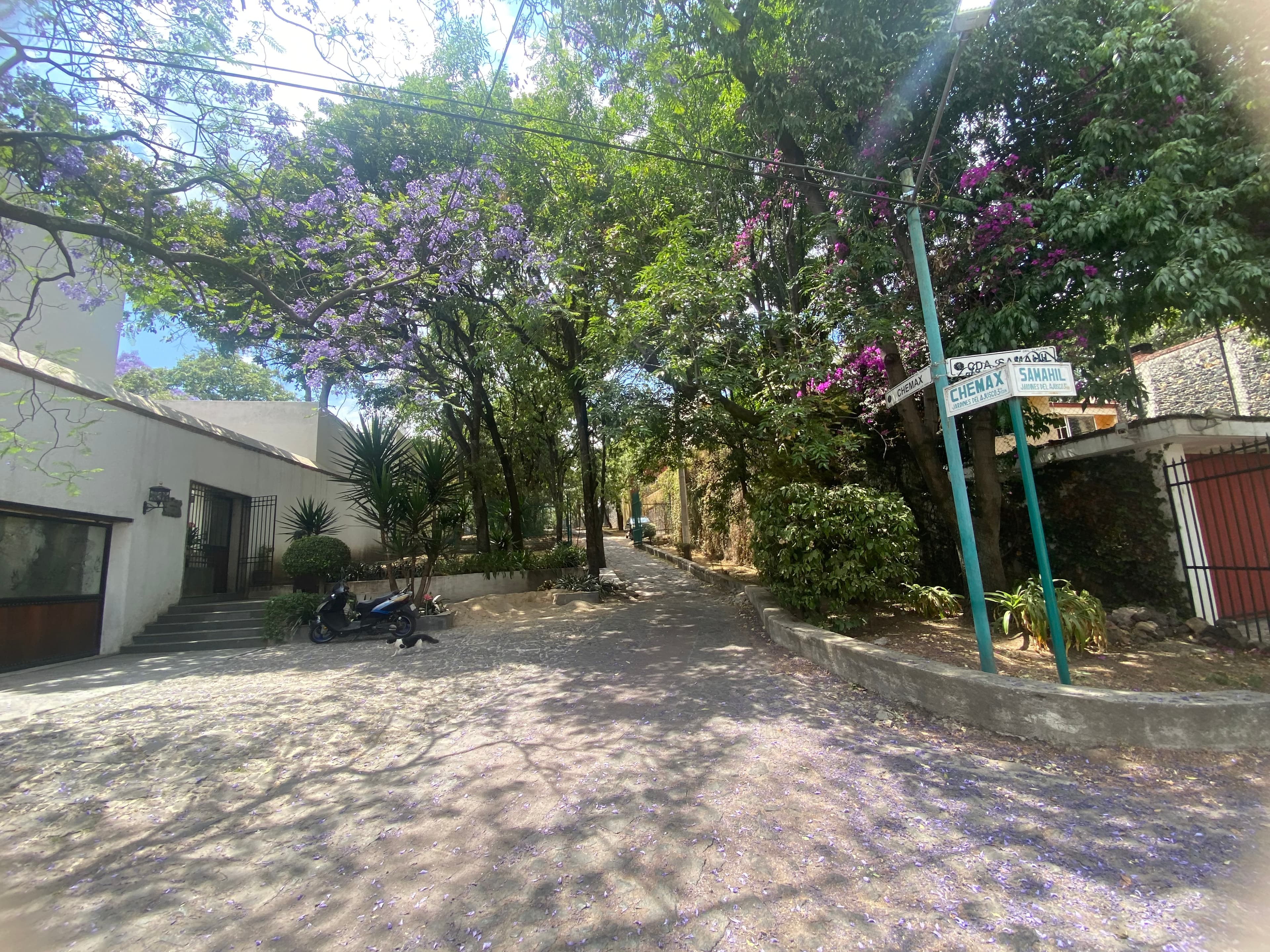 image-4