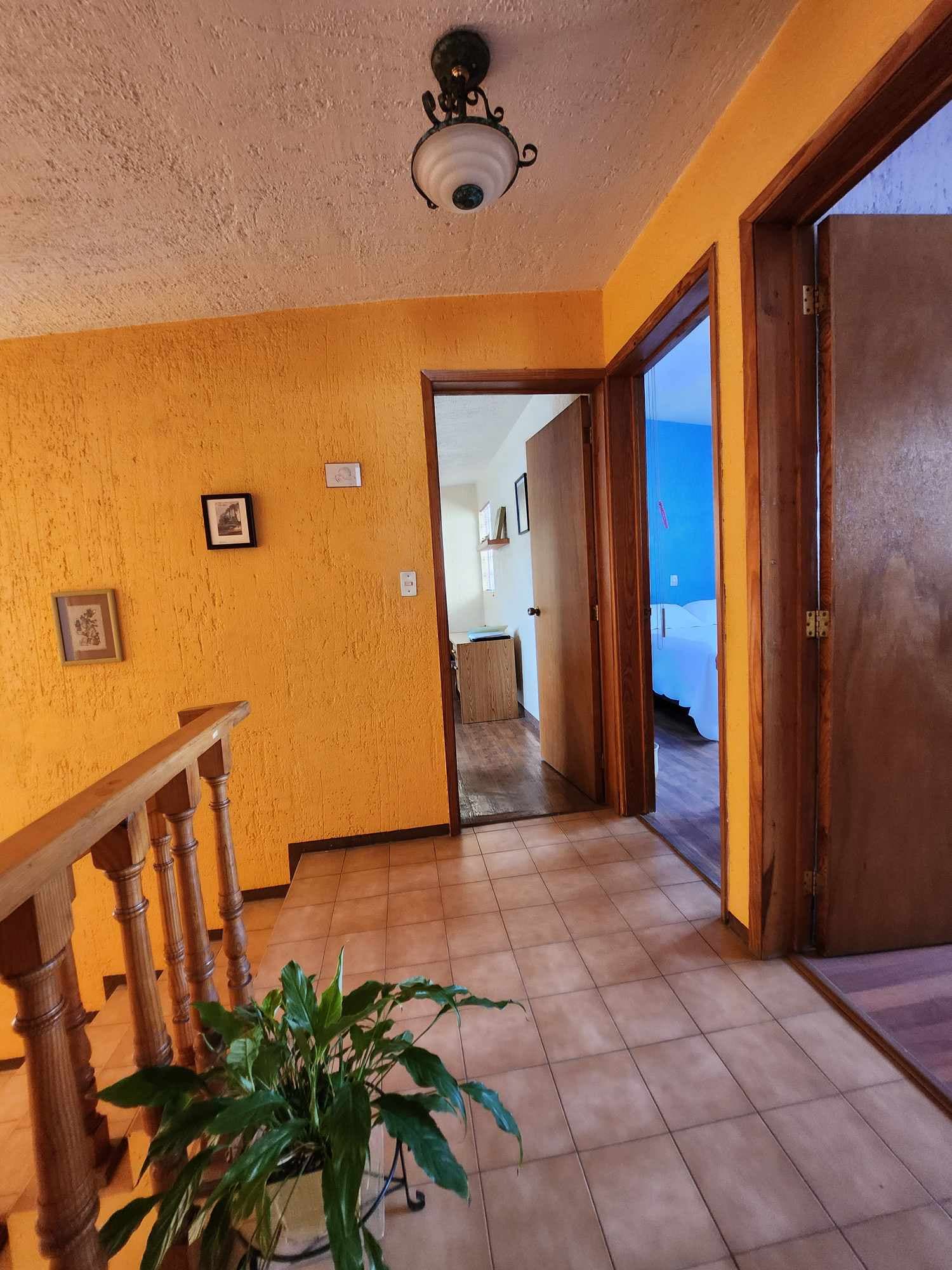 image-19