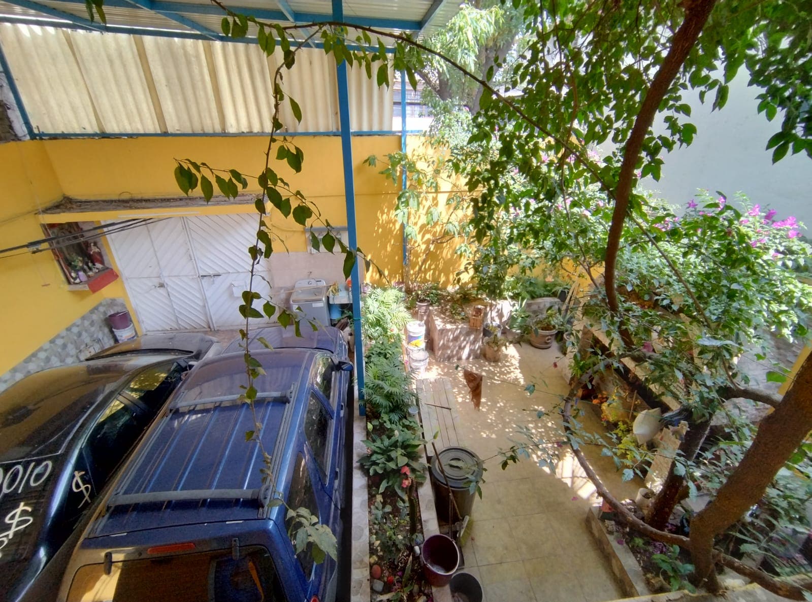 image-5