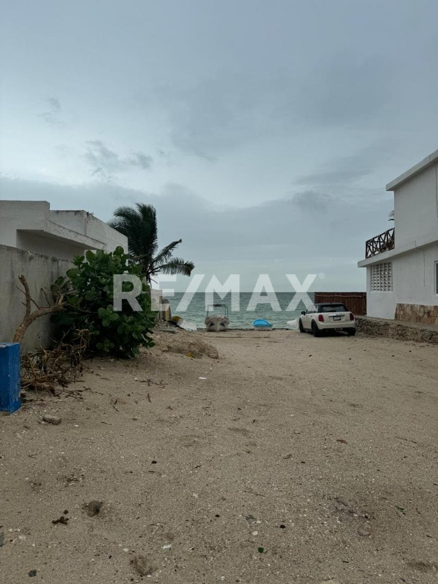 image-19