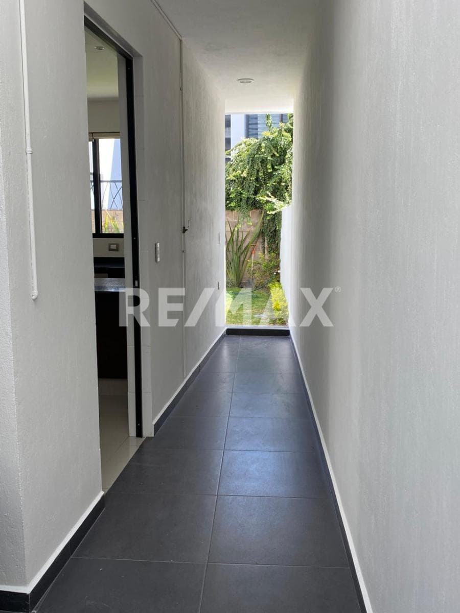 image-19